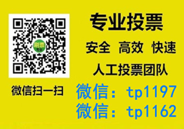 两江新区微信手动投票费多少钱让我告诉你微信投了多少